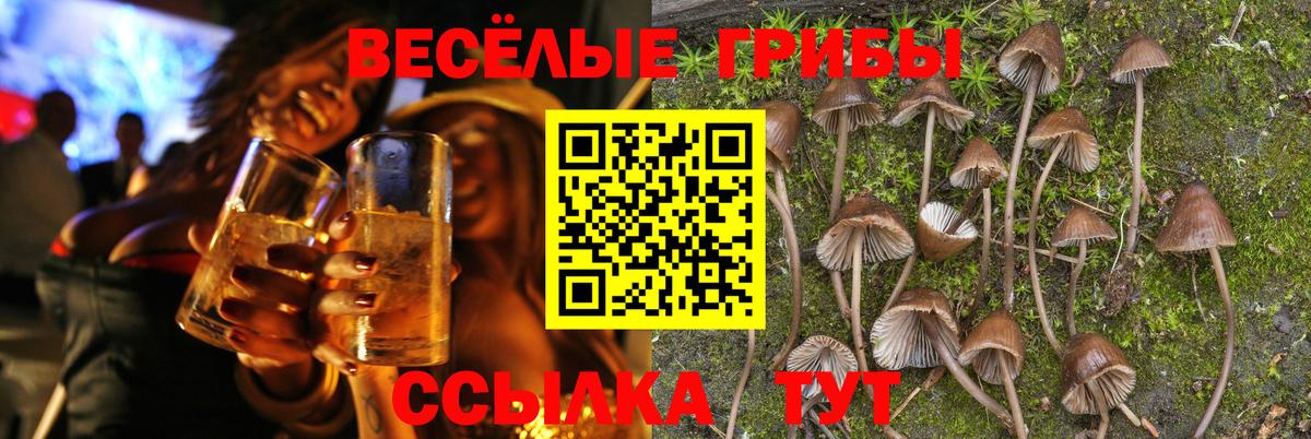Галлюциногенные грибы мицелий Губаха