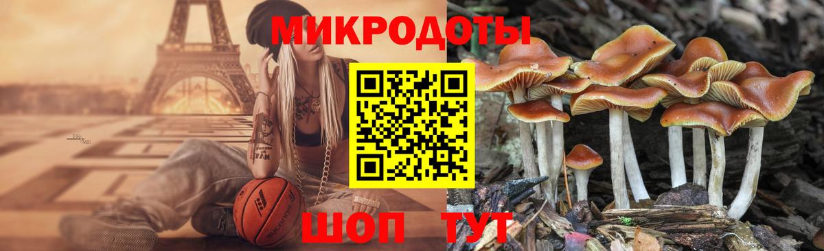 Галлюциногенные грибы мицелий  Вход с VPN  Губаха  Псилоцибиновые грибы Psilocybine cubensis 